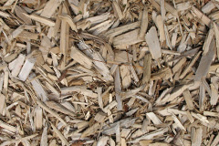 biomass boilers Brynygwenin